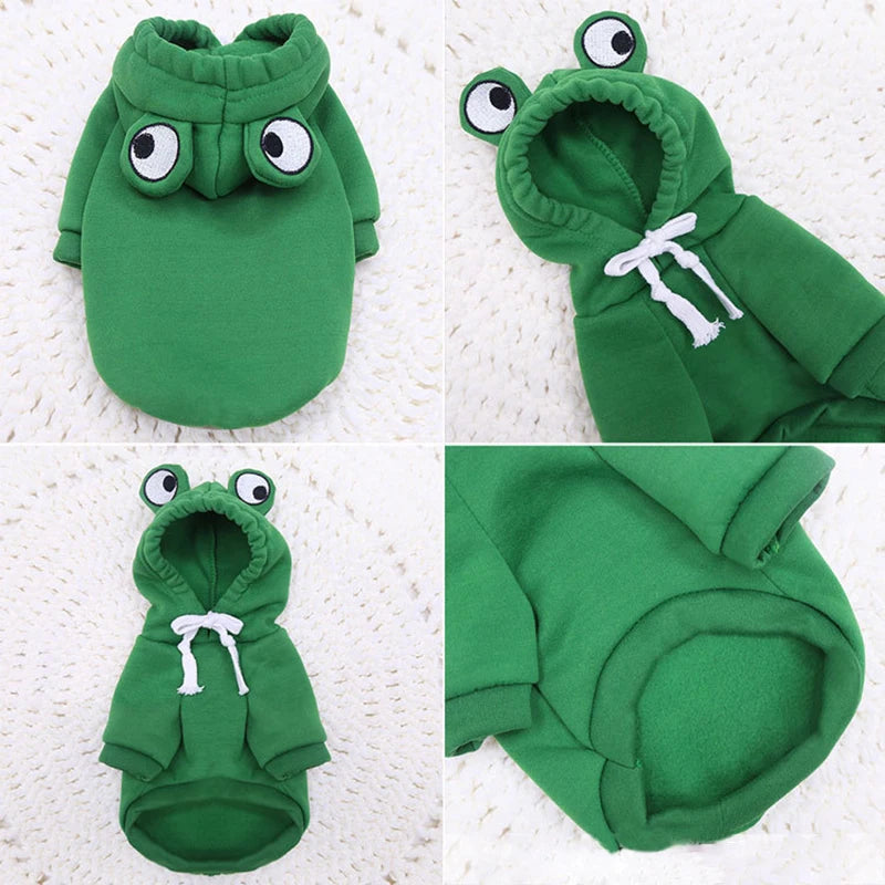 Pet froggy fantasy - Fantasia para pets